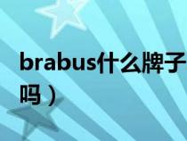 brabus什么牌子车价位多少（brabus是奔驰吗）