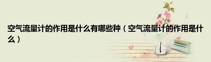 空气流量计的作用是什么有哪些种（空气流量计的作用是什么）