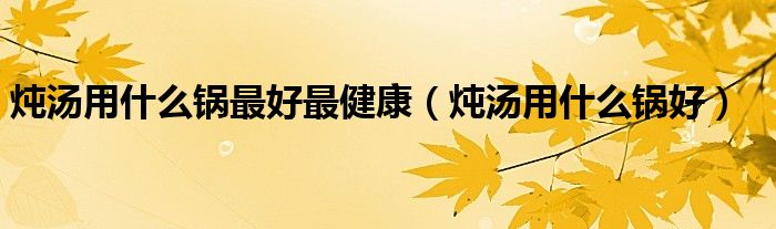 炖汤用什么锅最好最健康（炖汤用什么锅好）