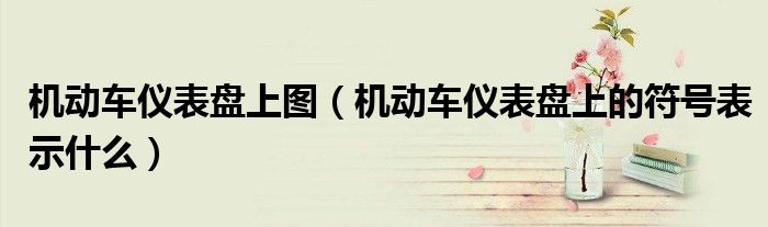 机动车仪表盘上图（机动车仪表盘上的符号表示什么）