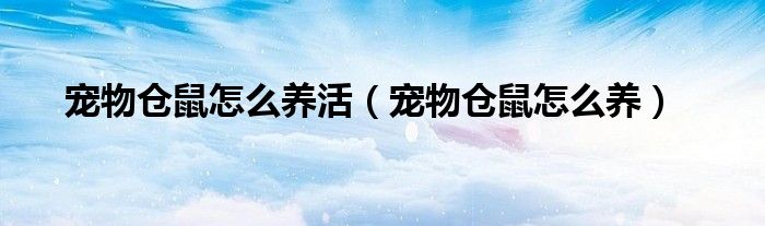 宠物仓鼠怎么养活（宠物仓鼠怎么养）