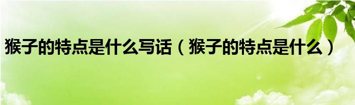 猴子的特点是什么写话（猴子的特点是什么）