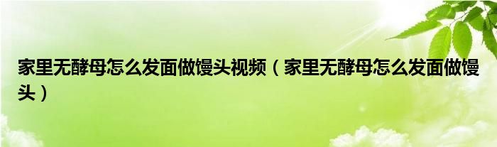 家里无酵母怎么发面做馒头视频（家里无酵母怎么发面做馒头）