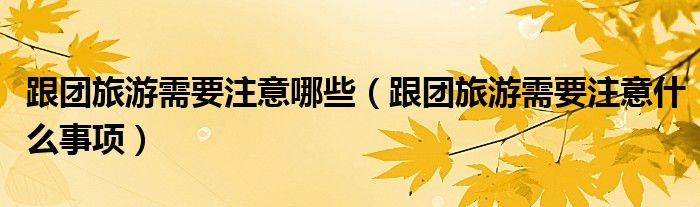 跟团旅游需要注意哪些（跟团旅游需要注意什么事项）