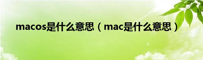 macos是什么意思（mac是什么意思）