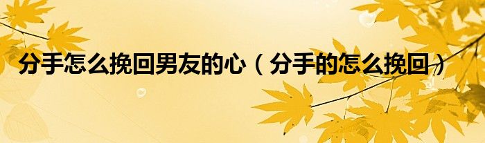 分手怎么挽回男友的心（分手的怎么挽回）