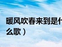 暖风吹春来到是什么歌名（暖风吹春来到是什么歌）