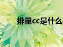 排量cc是什么单位（cc是什么单位）