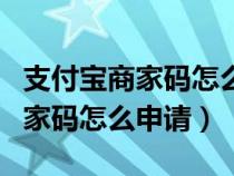 支付宝商家码怎么申请信用卡收款（支付宝商家码怎么申请）