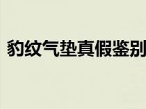 豹纹气垫真假鉴别（dpc豹纹气垫怎么更换）