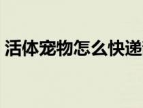 活体宠物怎么快递韵达（活体宠物怎么快递）