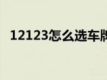 12123怎么选车牌号码（怎么选车牌号码）