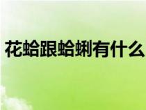 花蛤跟蛤蜊有什么区别（花蛤和蛤蜊的区别）