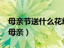 母亲节送什么花给母亲?（母亲节送什么花给母亲）