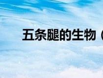 五条腿的生物（五条腿的动物有哪些）