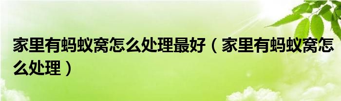 家里有蚂蚁窝怎么处理最好（家里有蚂蚁窝怎么处理）