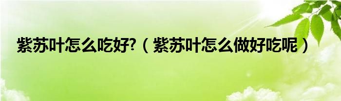 紫苏叶怎么吃好?（紫苏叶怎么做好吃呢）