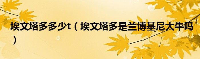埃文塔多多少t（埃文塔多是兰博基尼大牛吗）
