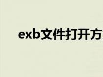 exb文件打开方式（exb文件怎么打开）