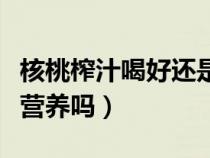 核桃榨汁喝好还是直接吃好（核桃榨汁后还有营养吗）
