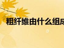 粗纤维由什么组成的（粗纤维由什么组成）