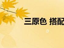三原色 搭配（三原色间色搭配）