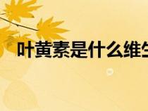 叶黄素是什么维生素b几（叶黄素是什么）