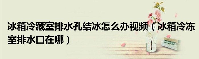 冰箱冷藏室排水孔结冰怎么办视频（冰箱冷冻室排水口在哪）