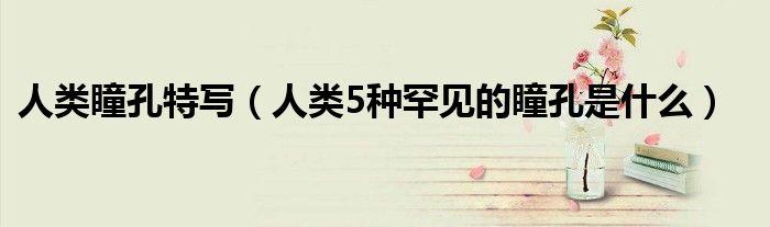 人类瞳孔特写（人类5种罕见的瞳孔是什么）