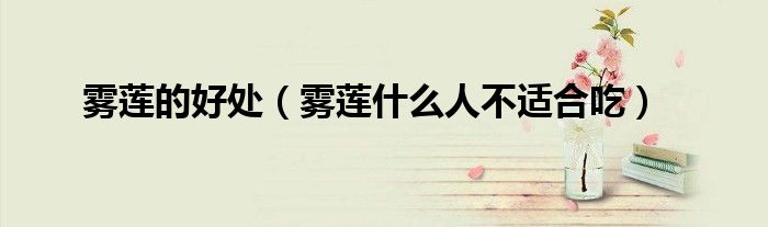 雾莲的好处（雾莲什么人不适合吃）
