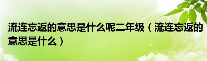 流连忘返的意思是什么呢二年级（流连忘返的意思是什么）