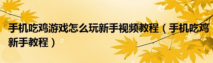 手机吃鸡游戏怎么玩新手视频教程（手机吃鸡新手教程）
