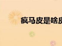 疯马皮是啥皮（疯马皮是好皮吗）