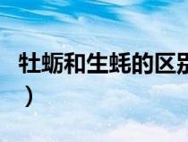 牡蛎和生蚝的区别图牡蛎（牡蛎和生蚝的区别）