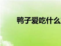 鸭子爱吃什么东西（鸭子爱吃什么）
