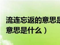 流连忘返的意思是什么呢二年级（流连忘返的意思是什么）