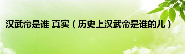 汉武帝是谁 真实（历史上汉武帝是谁的儿）