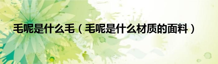 毛呢是什么毛（毛呢是什么材质的面料）