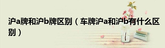 沪a牌和沪b牌区别（车牌沪a和沪b有什么区别）