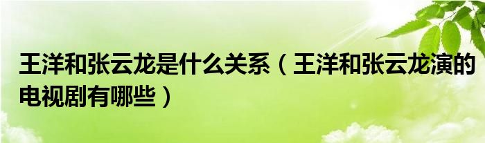 王洋和张云龙是什么关系（王洋和张云龙演的电视剧有哪些）