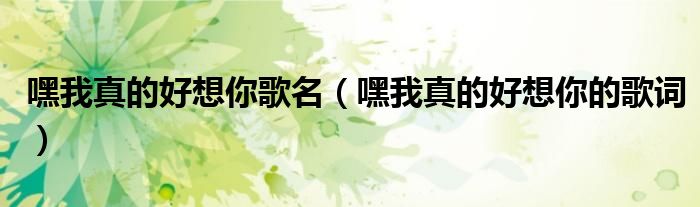 嘿我真的好想你歌名（嘿我真的好想你的歌词）