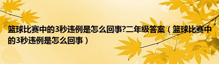 篮球比赛中的3秒违例是怎么回事?二年级答案（篮球比赛中的3秒违例是怎么回事）