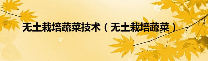 无土栽培蔬菜技术（无土栽培蔬菜）
