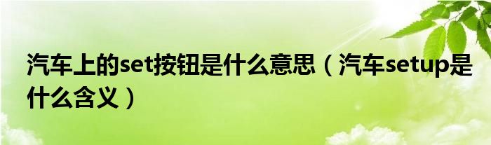 汽车上的set按钮是什么意思（汽车setup是什么含义）