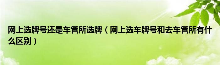 网上选牌号还是车管所选牌（网上选车牌号和去车管所有什么区别）