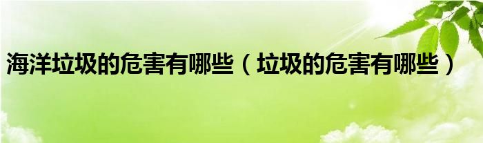 海洋垃圾的危害有哪些（垃圾的危害有哪些）