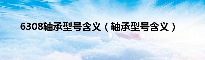 6308轴承型号含义（轴承型号含义）
