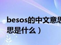 besos的中文意思是什么呢(besos的中文意思是什么) besos的中文意思是什么呢(besos的中文意思是什么)