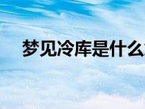 梦见冷库是什么意思（冷库是什么意思）