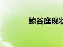 鲸谷座现状（鲸谷座是什么）
